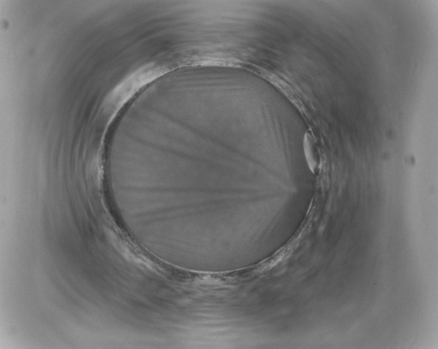 X0000087410290200705111858