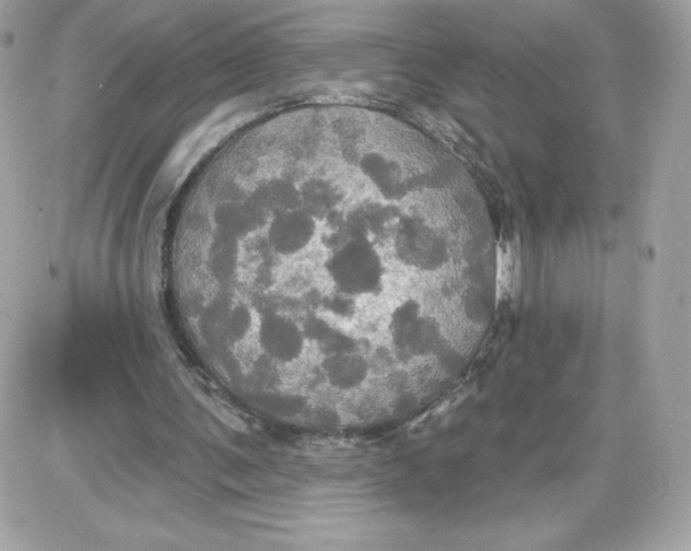 X0000087410291200705111858