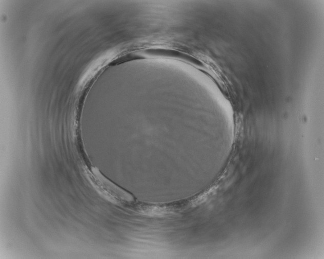 X0000087410293200705111858