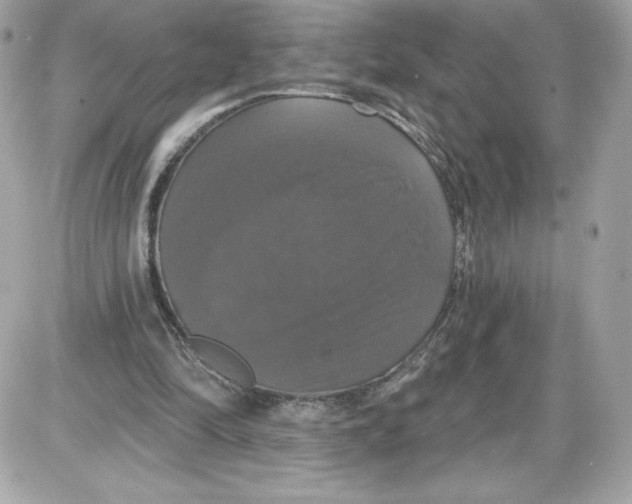 X0000087410294200705111858