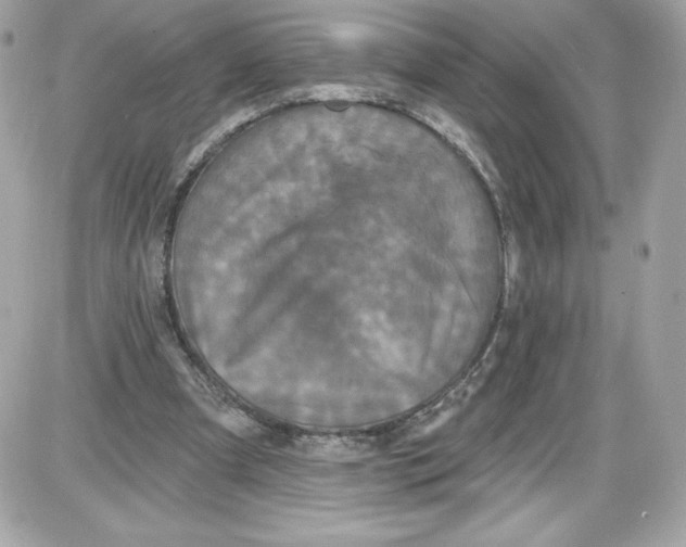 X0000087410297200705111858