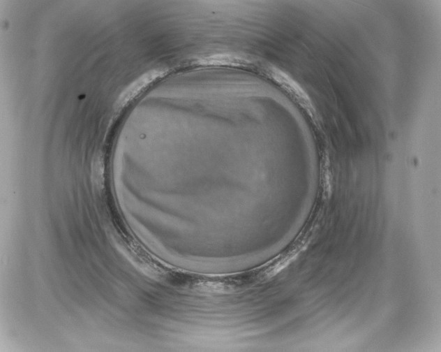 X0000087410298200705111858