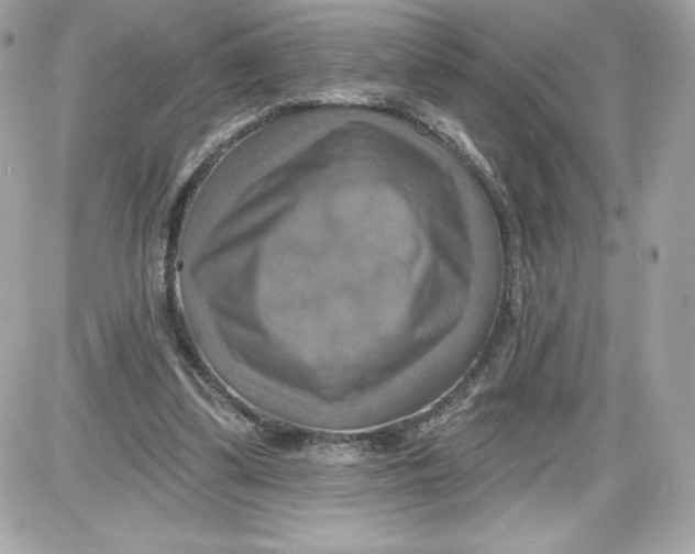 X0000087410299200705111858