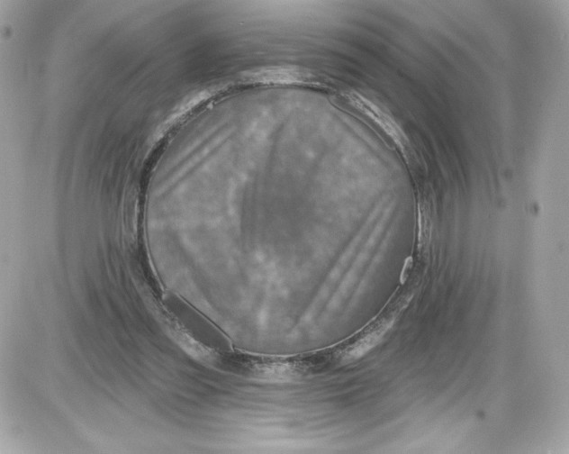 X0000087410301200705111858