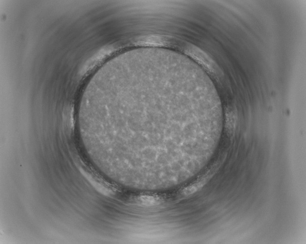 X0000087410302200705111858