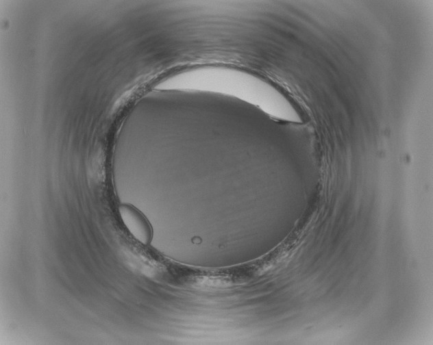 X0000087410303200705111858