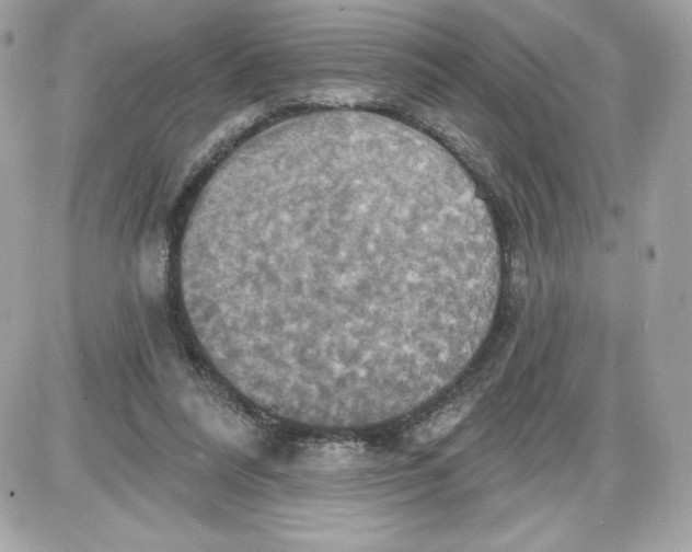 X0000087410304200705111858