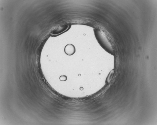 X0000087410305200705111858