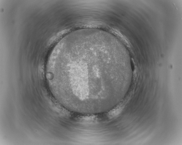 X0000087410306200705111858