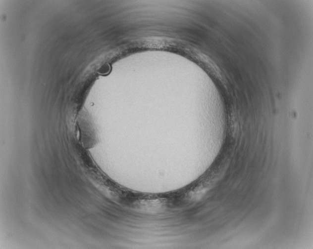 X0000087410307200705111858