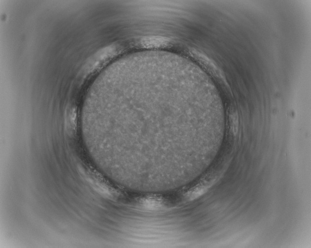 X0000087410308200705111858