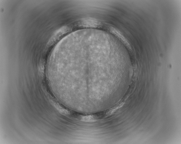 X0000087410309200705111858