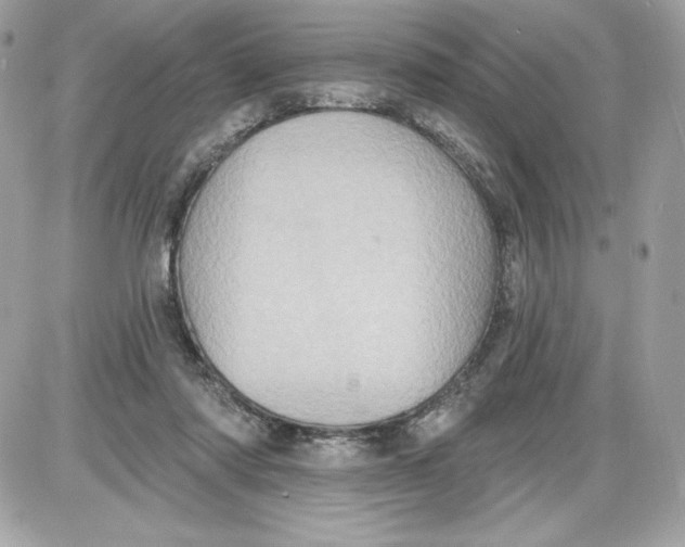 X0000087410310200705111858