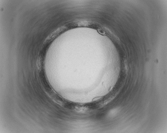 X0000087410311200705111858