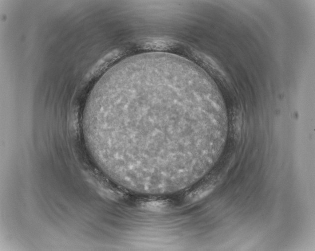 X0000087410312200705111858