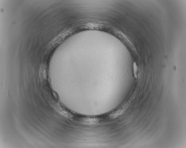 X0000087410313200705111858