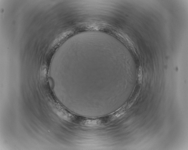 X0000087410314200705111858