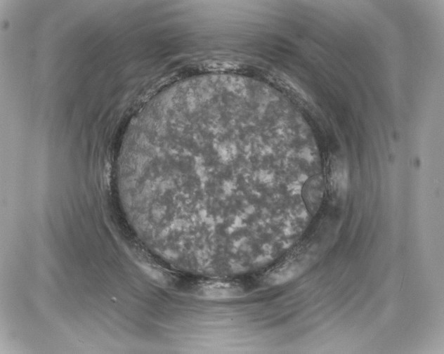 X0000087410315200705111858