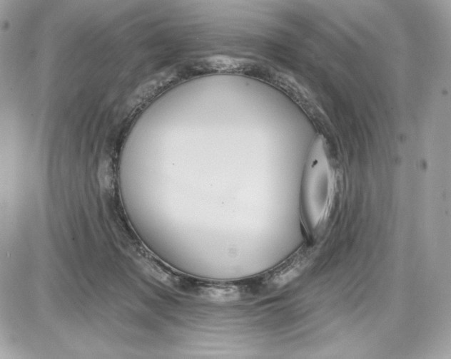 X0000087410317200705111858