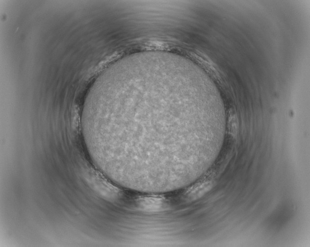 X0000087410318200705111858