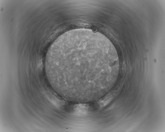 X0000087410320200705111858