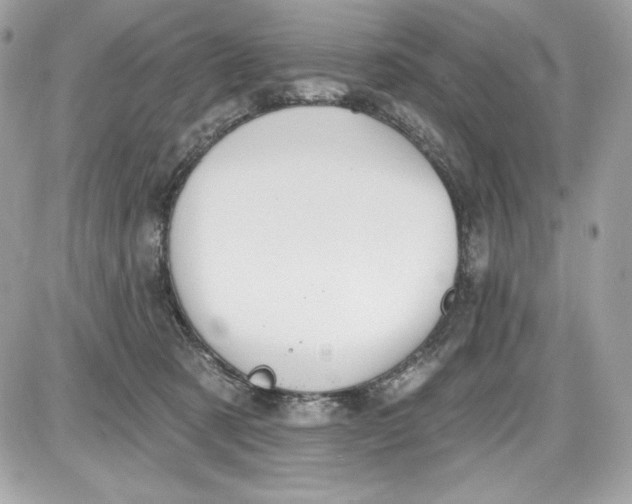 X0000087410321200705111858