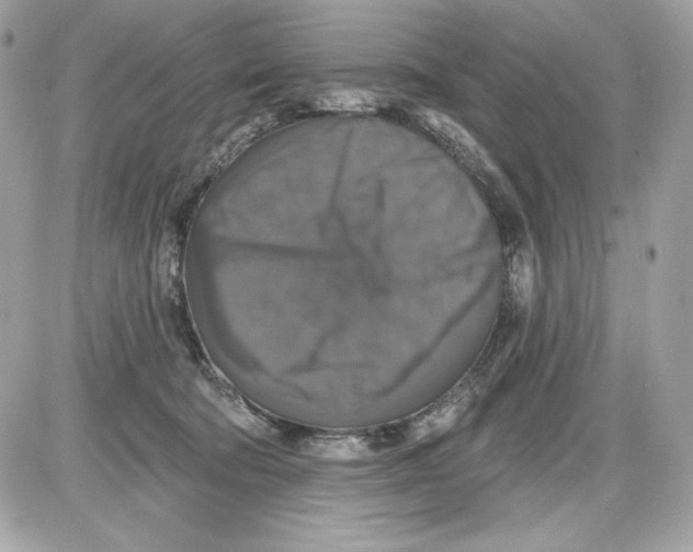 X0000087410322200705111858