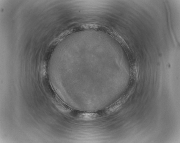 X0000087410323200705111858