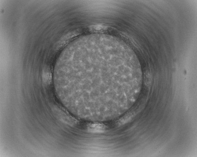 X0000087410324200705111857