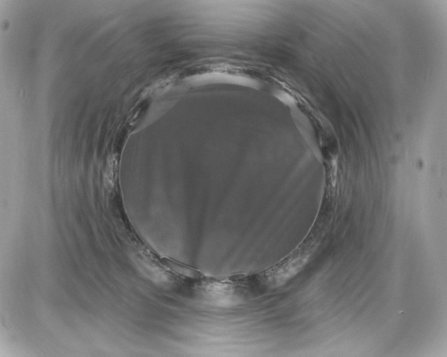 X0000087410325200705111857