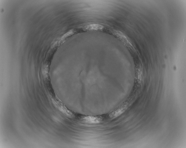 X0000087410326200705111857