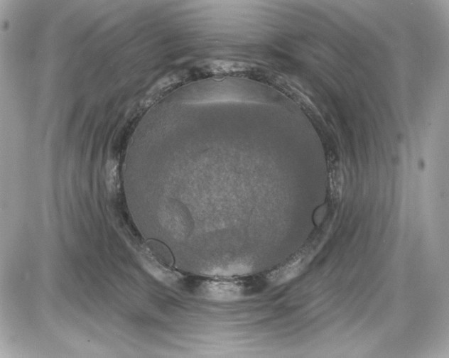 X0000087410327200705111857