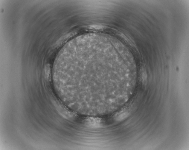 X0000087410328200705111857