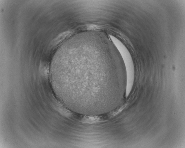 X0000087410329200705111857