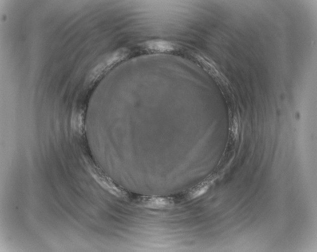 X0000087410330200705111857