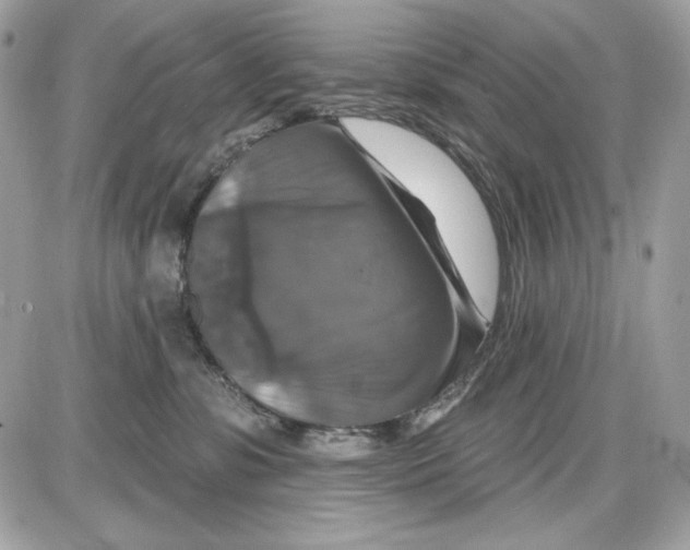 X0000087410331200705111857