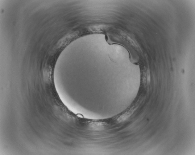 X0000087410332200705111857