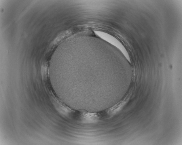 X0000087410333200705111857