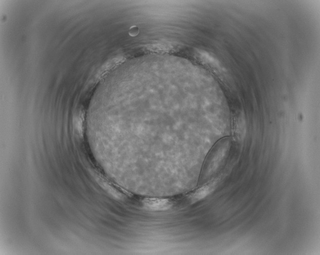 X0000087410334200705111857