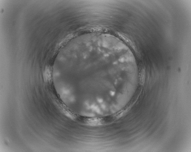 X0000087410335200705111857