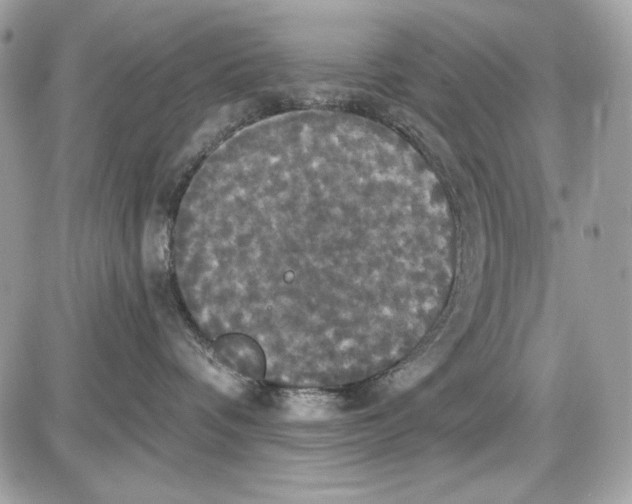 X0000087410336200705111857