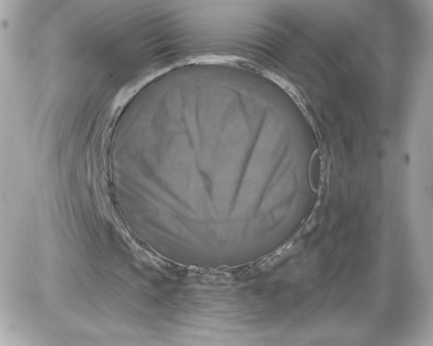 X0000087410337200705111857