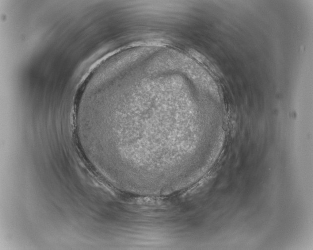 X0000087410338200705111857