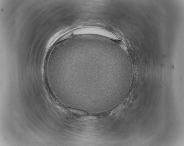 X0000087410340200705111857