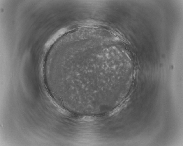 X0000087410341200705111857