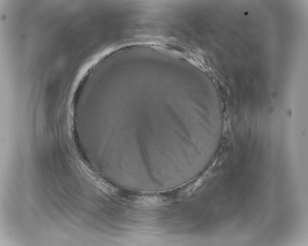 X0000087410342200705111857