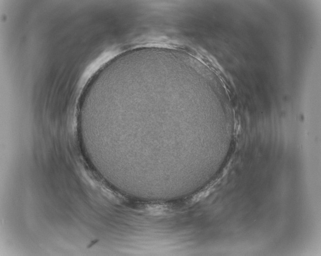 X0000087410344200705111857