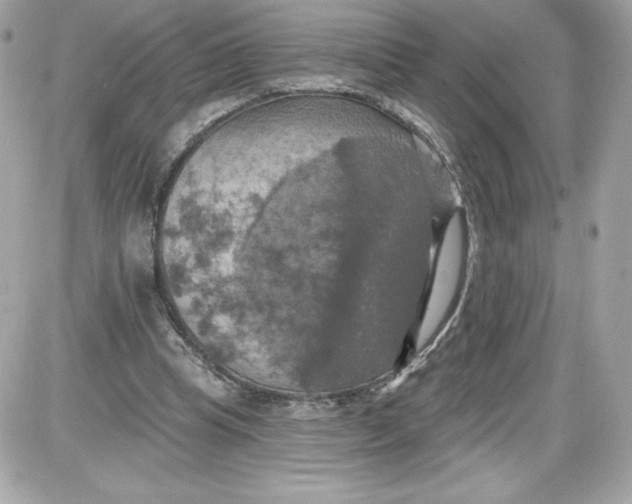 X0000087410345200705111857