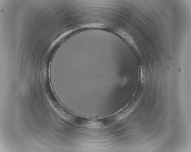 X0000087410348200705111857