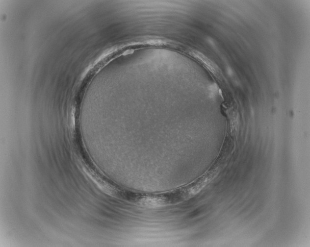 X0000087410350200705111857